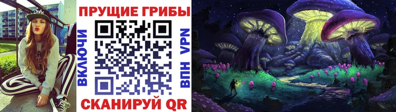 Купить где  Советский  Галлюциногенные грибы Cubensis 